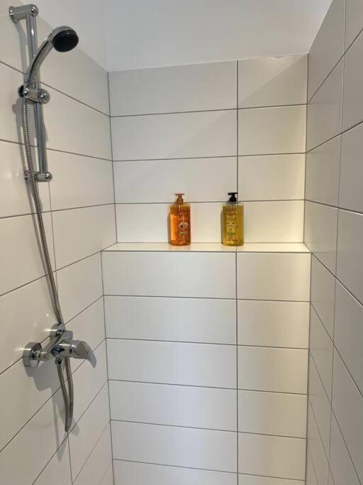 Appartement Duplex Avec Jardin Ingersheim Buitenkant foto