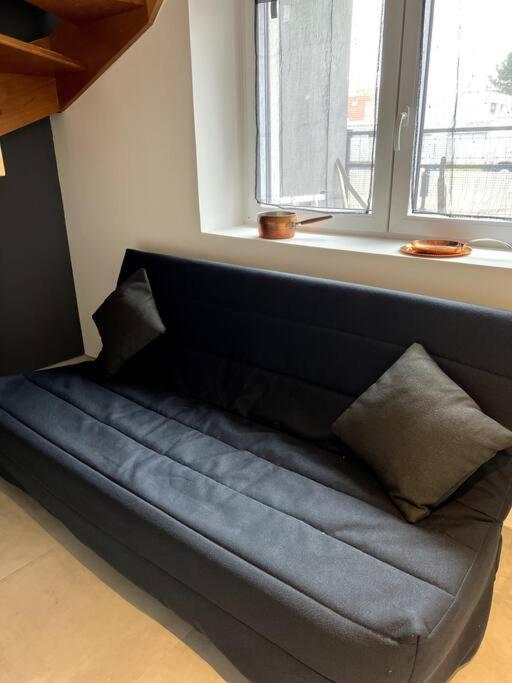 Appartement Duplex Avec Jardin Ingersheim Buitenkant foto