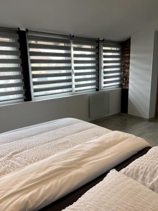 Appartement Duplex Avec Jardin Ingersheim Buitenkant foto